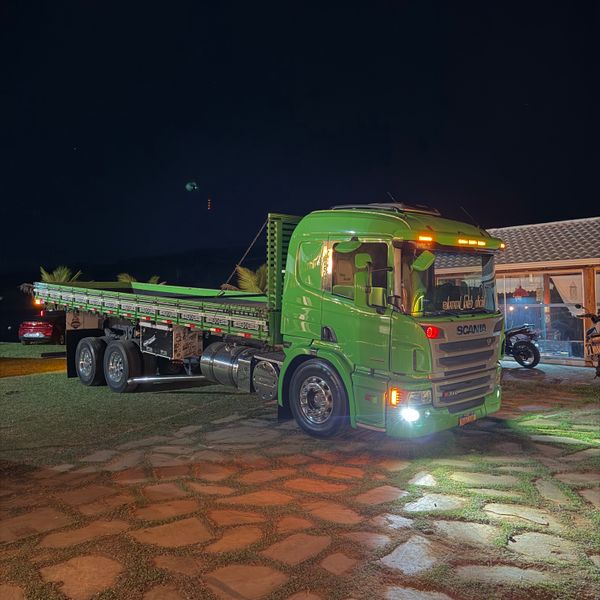 Scania P310 2015